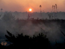 A 2008 fire sparked by logging equipment in the Great Dismal Swamp National Wildlife Refuge in Suffolk, Va., lasted 121 days and cost $12 million dollars. It was the longest and most expensive wildfire in Virginia history. Credit: U.S. Fish and Wildlife Service