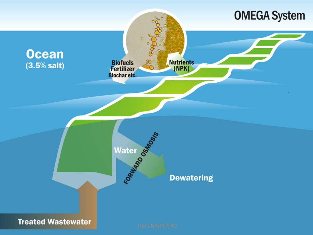 Waste water produces biomass, oil, and oxygen.
