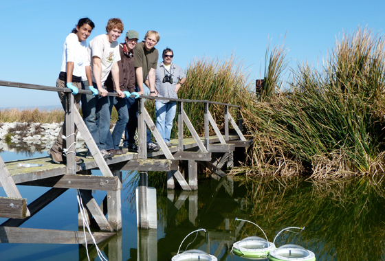 Ames scientists and students from the Undergraduate Student Research Program and Foothill DeAnza Community College worked with the Sunnyvale Water Pollution Control Plant, Calif., to measure the methane oxidized by microbes in its open ponds. Credit: Drew Detweiler