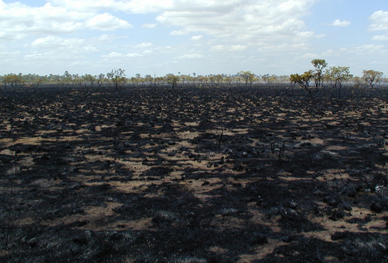 A charred surface remains in the wake of a fire in Roraima, the northernmost state in Brazil. Credit: NASA/Doug Morton
