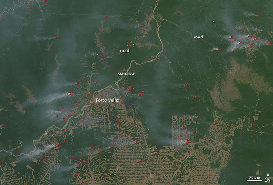 A NASA satellite captured this image of active fires along the Madeira River in Brazil in 2010, a year that had unusually high fire activity. Fires are shown in red and plumes of gray smoke are visible. Credit: NASA/Earth Observatory