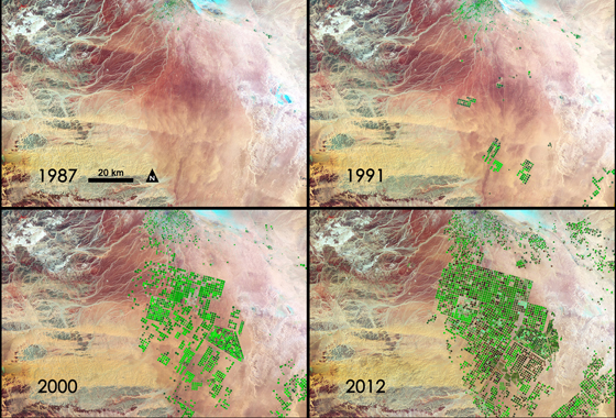 In this series of four Landsat images, the agricultural fields are about one kilometer across. Healthy vegetation appears bright green while dry vegetation appears orange. Barren soil is a dark pink, and urban areas, like the town of Tubarjal at the top of each image, have a purple hue. Credit: NASA/GSFC