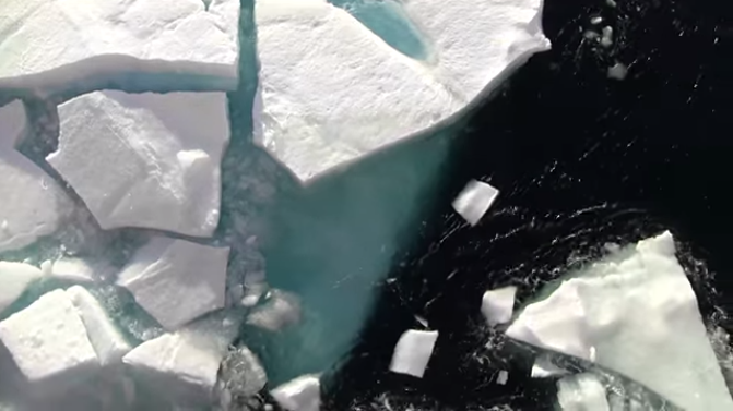 Four Decades of Sea Ice From Space: The Beginning
