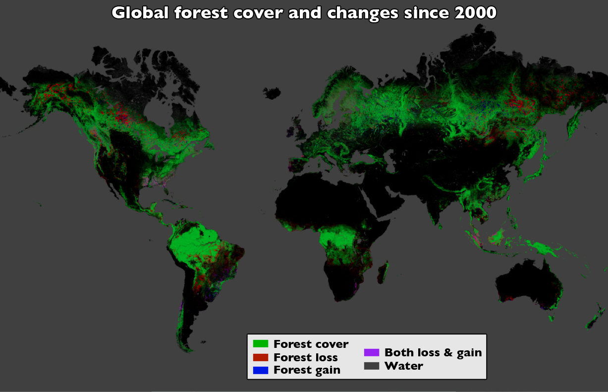 Using Landsat imagery and cloud computing, researchers mapped forest cover worldwide as well as forest loss and gain. Over 12 years, 888,000 square miles (2.3 million square kilometers) of forest were lost, and 309,000 square miles (800,000 square kilometers) regrew. Image Credit: NASA Goddard, based on data from Hansen et al., 2013.