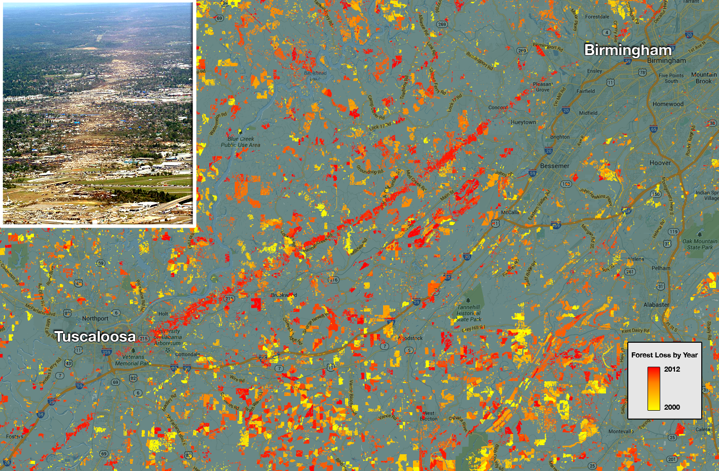The forest cover maps also capture natural disturbances such as this 2011 tornado path in Alabama. In this map, the colors represent forest loss by year, with yellows representing loss closer to 2000 and reds representing later forest loss, up to 2012. Image Credit: NASA Goddard, based on data from Hansen et al., 2013.