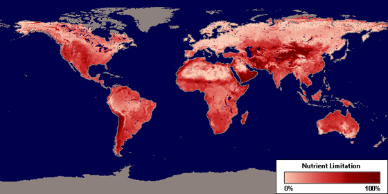 NASA maps how nutrients affect plant productivity – Climate Change ...