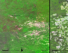 Agriculture growth, Paraguay