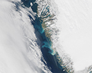 Sediment plumes appear from melting Greenland glaciers