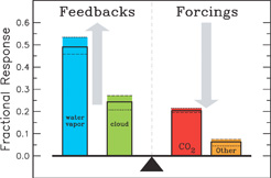 Various atmospheric components differ in their contributions to the greenhouse effect, some through feedbacks and some through forcings.