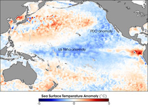 Cool waters in the tropical Pacific Ocean courtesy of La Niña, April 2008. La Niña helped make 2008 the coolest year of the last decade. The Pacific Decadal Oscillation (PDO) — a larger-scale, slower-cycling ocean pattern — can also be seen in this image, in its cool phase.
Image courtesy of NASA's Earth Observatory; taken by the Advanced Microwave Scanning Radiometer for EOS (AMSR-E) on NASA's Aqua satellite.