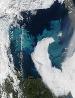 MODIS images showing a plankton bloom off Norway.