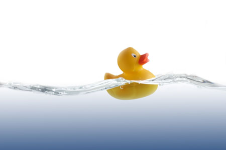 Rubber duck in bath.
