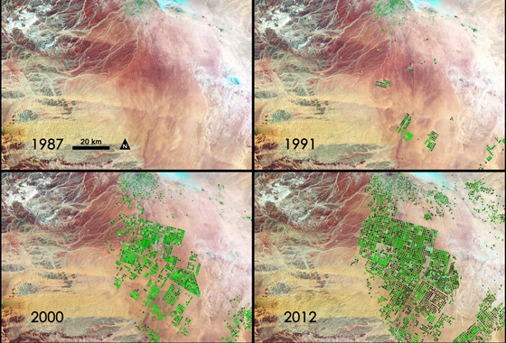 Fields Of Green Spring Up In Saudi Arabia Climate Change Vital