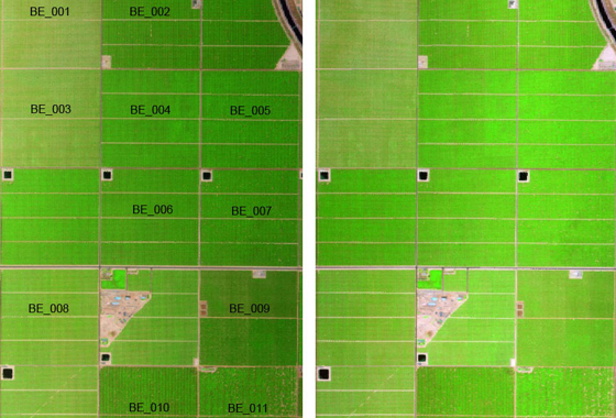 Morning, left, and afternoon, right, MASTER imagery of the study site consisting of three pistachio and eight almond blocks. Lightness in color on the right image indicates the lower vegetation canopy water content. Labels on left image are orchard block numbers. Credit: University of California, Davis.