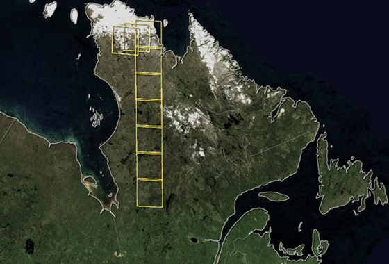 Yellow outlines mark the location of the nine Landsat scenes used in this study. Image credit: Jesse Allen