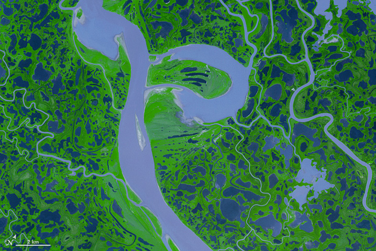 False-color image of the Mackenzie River Delta in Canada.
