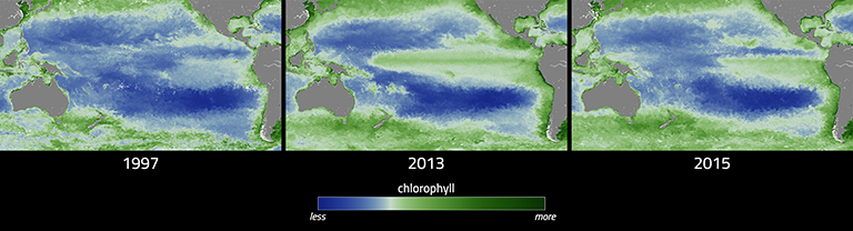 Differences in December phytoplankton abundances are visualized for three years.