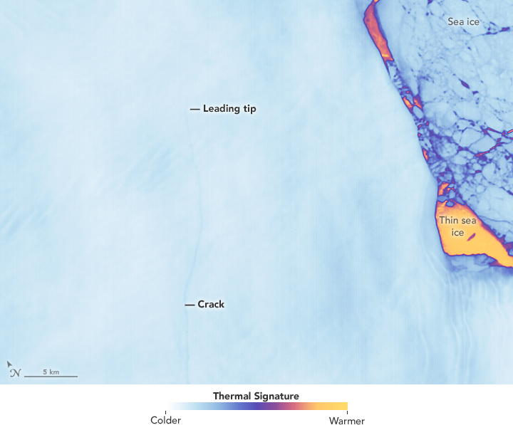 Larsen c detalle 2