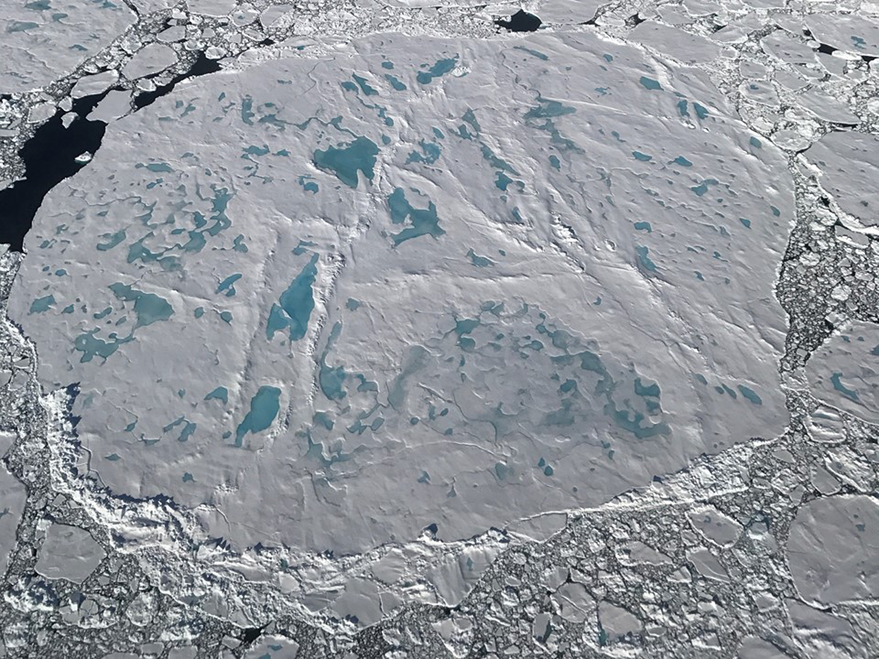A large circular sea ice floe covered with melt ponds and surrounded by smaller floes, as seen from an Operation IceBridge flight on July 17, 2017.