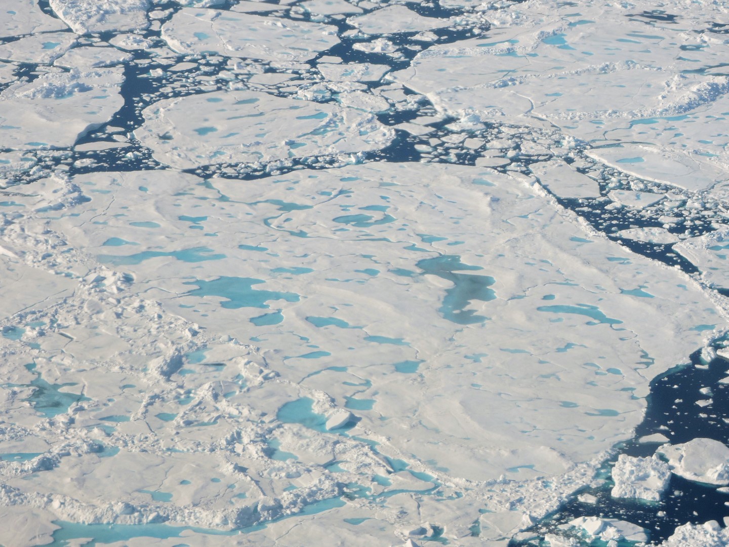 A collection of broken up sea ice floes of various sizes, floating north of Greenland. 