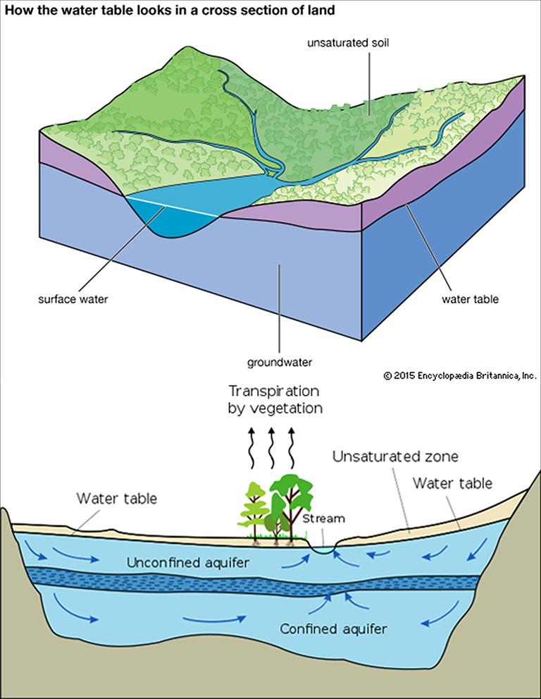 Water table and aquifer