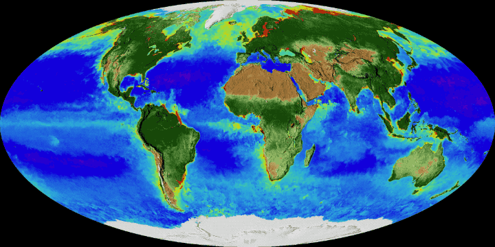 A new NASA visualization shows 20 years of continuous observations of plant life on land and at the ocean’s surface, from September 1997 to September 2017.