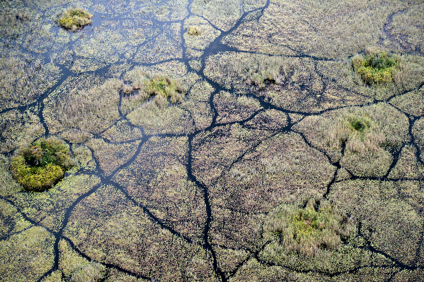 An aerial shot of the Vumbura Plains in the Okavango Delta, Botswana.
