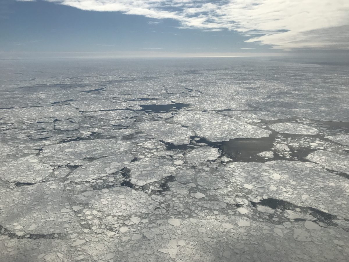 Photo of fractured sea ice off the Greenland coast.