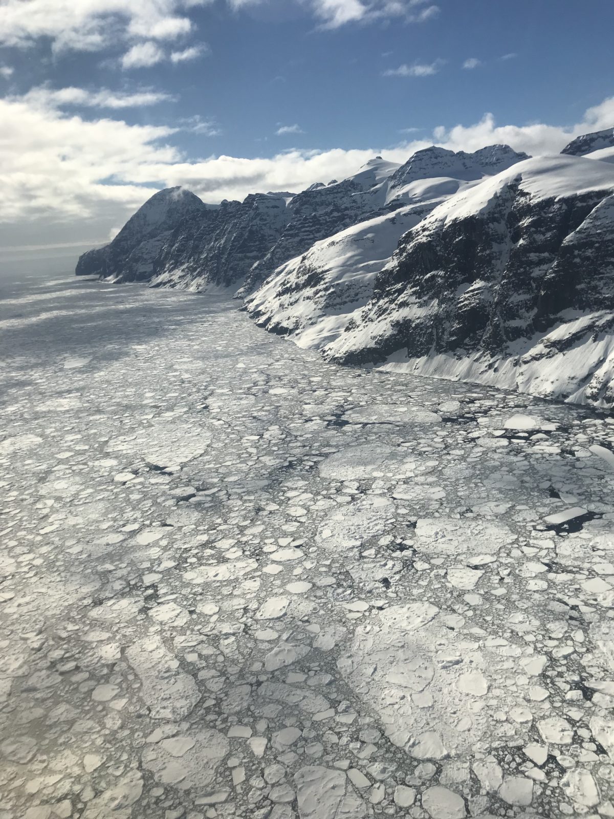 Photo of sea ice meeting with Greenland's cliffs and mountains.