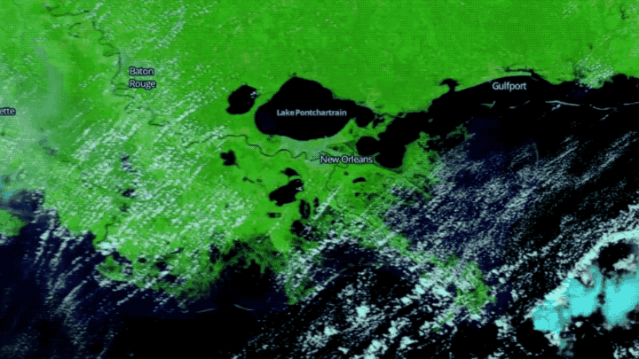 Land, shown as green, is inundated with floodwaters after Hurricane Katrina.