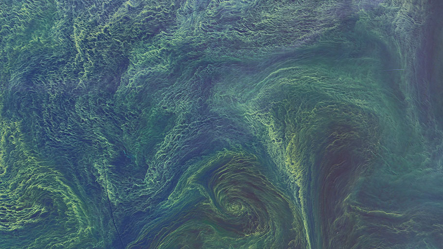 Swirls of green, blues and purples.