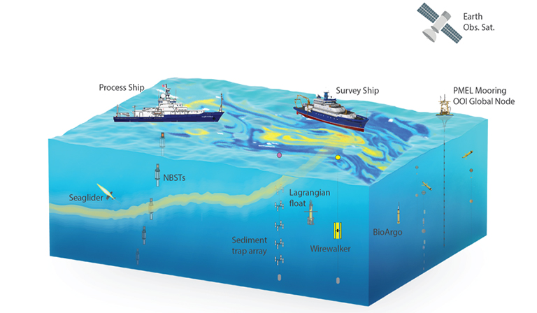 Graphic representation of the Northeastern Pacific Ocean deployment for EXPORTS.