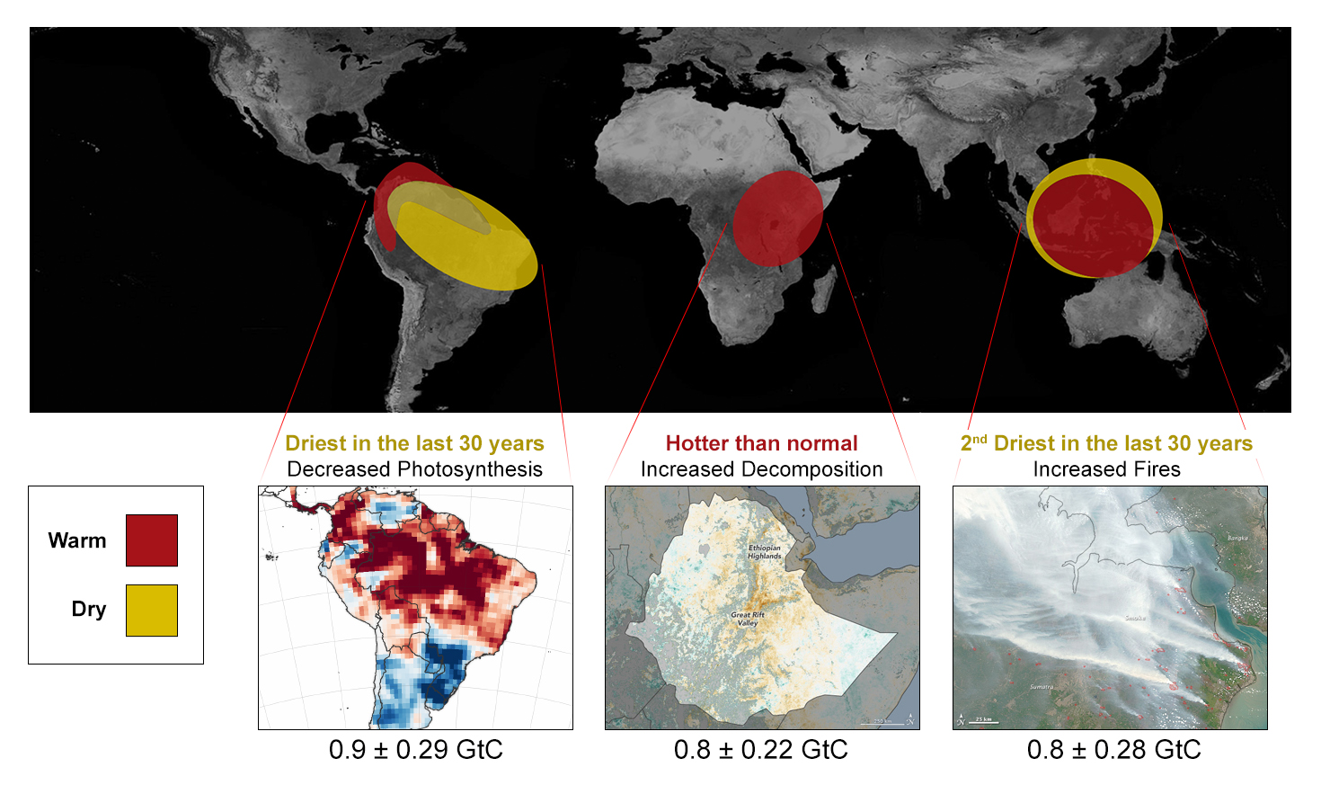 The last El Niño in 2015-16 impacted the amount of carbon dioxide that Earth's tropical regions released into the atmosphere.