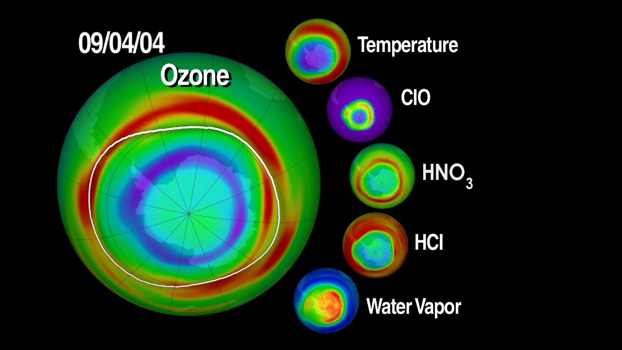 MLS observes the details of ozone chemistry by measuring many radicals, reservoirs, and source gases in chemical cycles that destroy ozone.