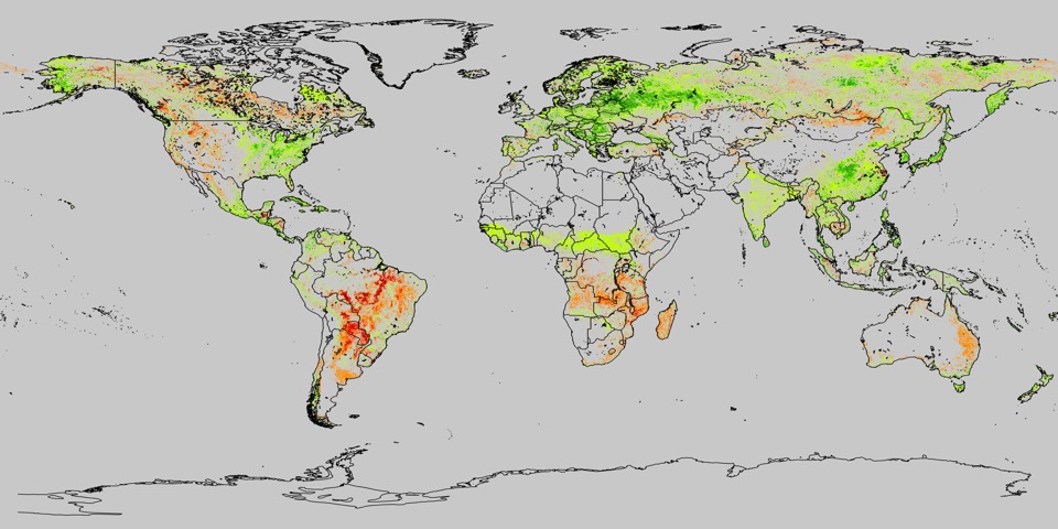 global tree loss/tree gain since the early 1980s