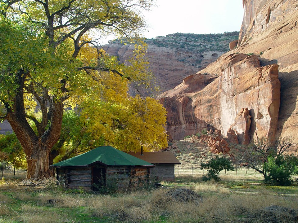 Phenology relates to the timing of periodic plant and animal life cycle events, such as leaves changing color in the fall in Canyon de Chelly National Monument in Arizona.
