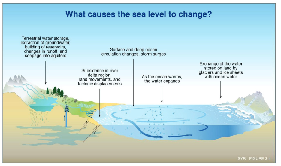 Factors that contribute to sea level change.