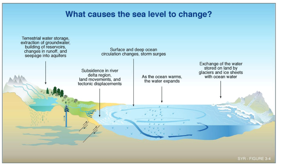 Sea Level 101, Part Two All Sea Level is ‘Local' Climate Change