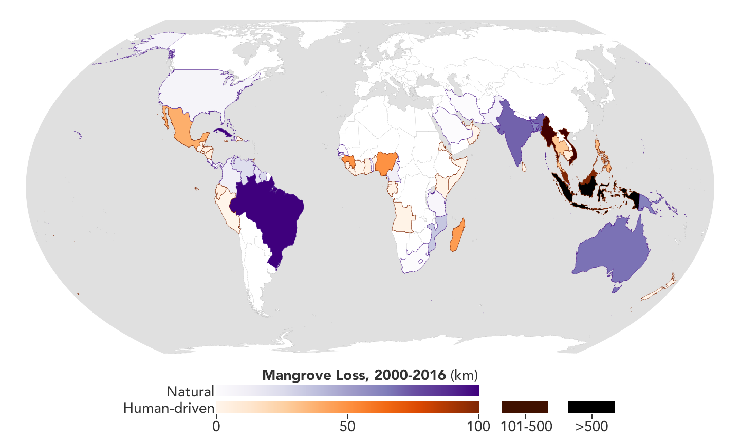 NASA Study Maps the Roots of Global Mangrove Loss – Climate Change ...