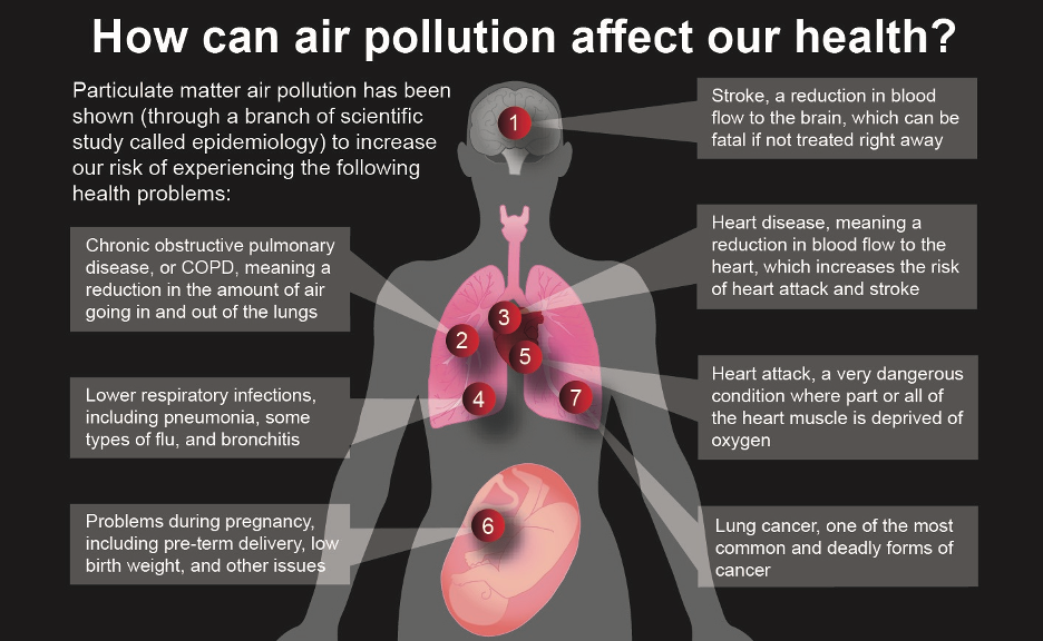 L'inquinamento atmosferico da particolato è associato a numerosi effetti negativi sulla salute.