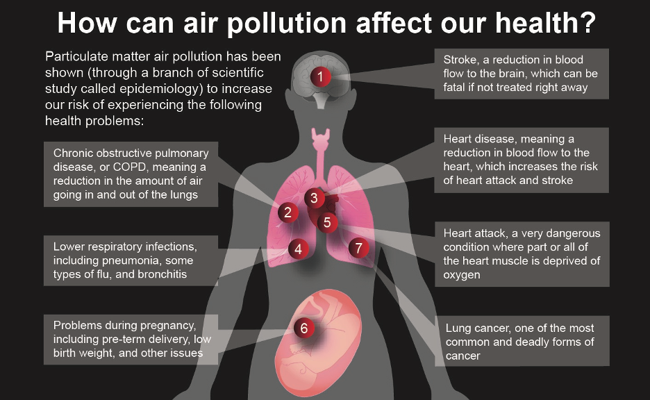 Inhalable Particulate Matter and Health (PM2.5 and PM10)