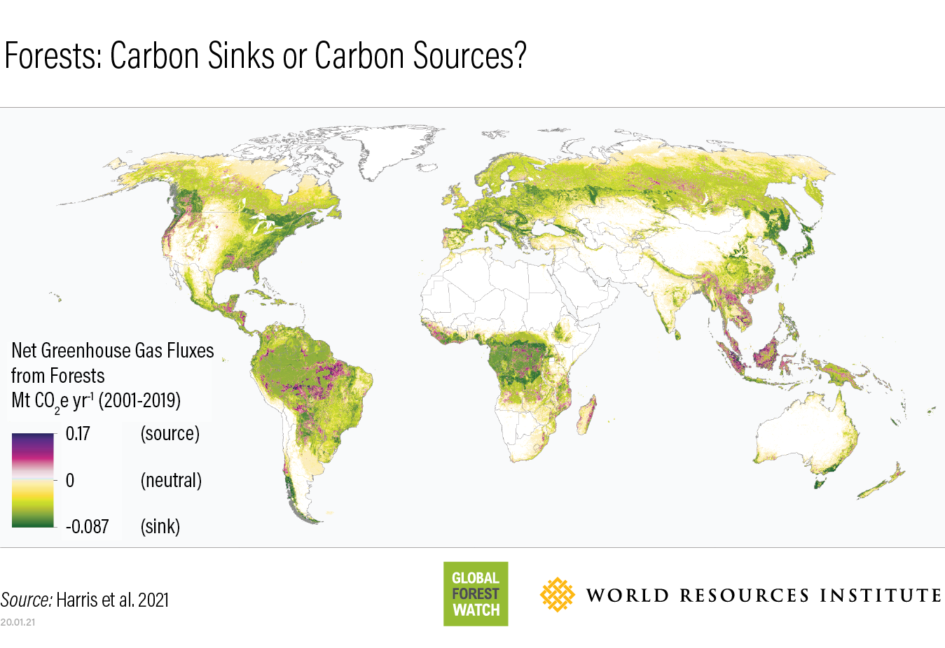 World map showing forested regions that are sources of carbon emissions (purple) and where they are carbon sinks (green).
