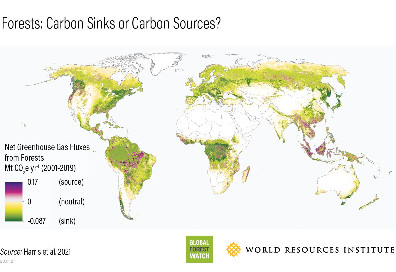 the-carbon-cycle-diagram-quizlet