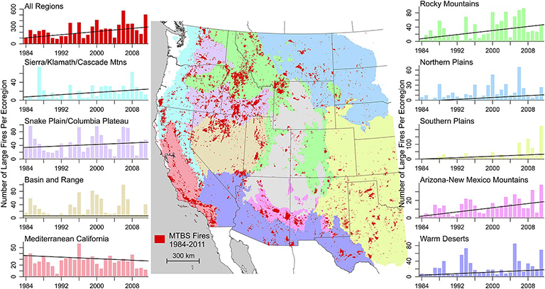 Trends in the annual number of large fires in the western United States for a variety of ecoregions from 1984-2011.