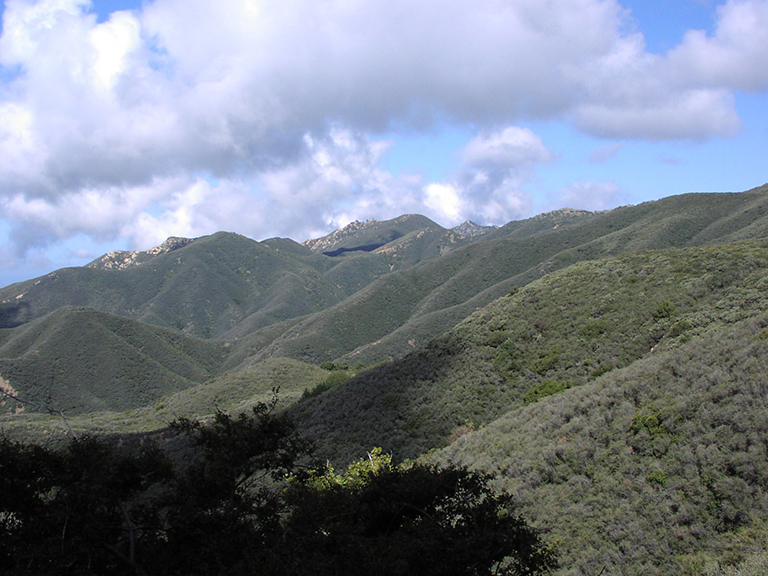 Chaparral covers the Santa Ynez Mountains near Santa Barbara, California