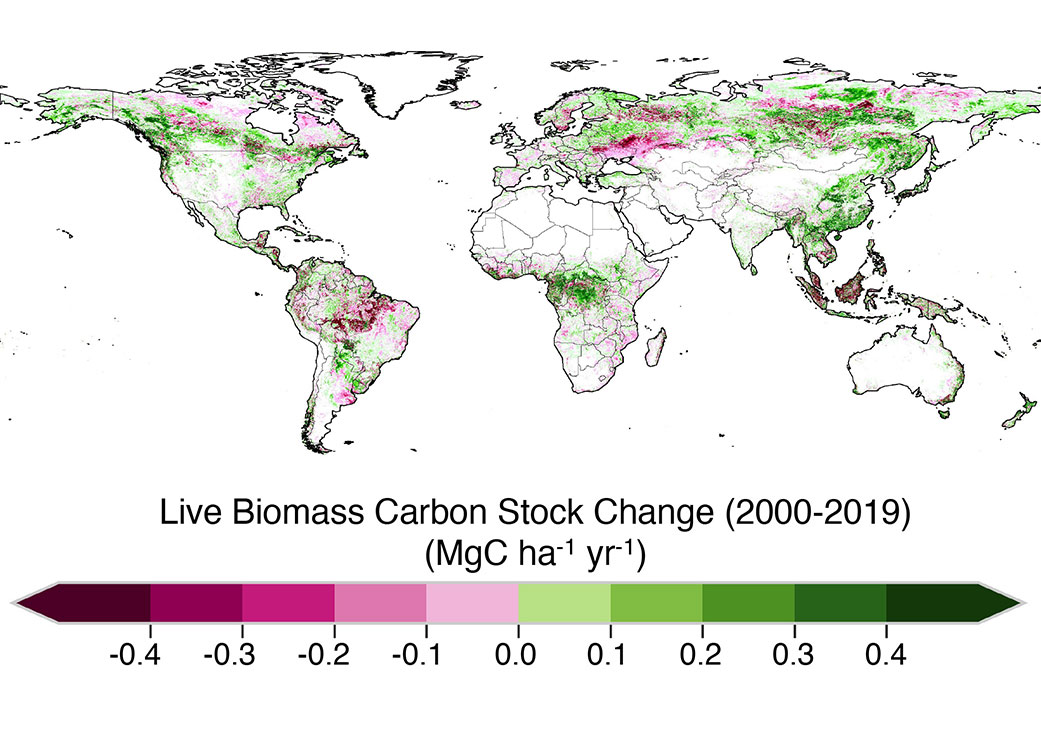 Map of the change in how much carbon a vegetated area stored or emitted between the years 2000 and 2019