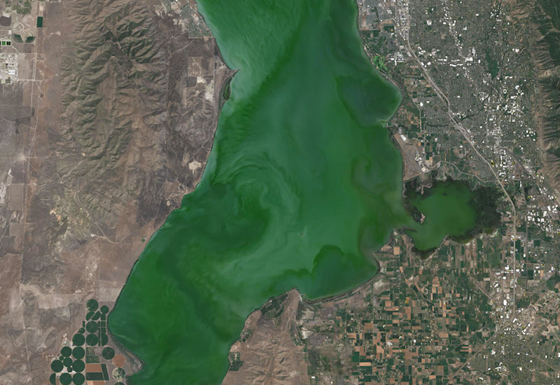 satellite view of algal blooms in a lake in Utah