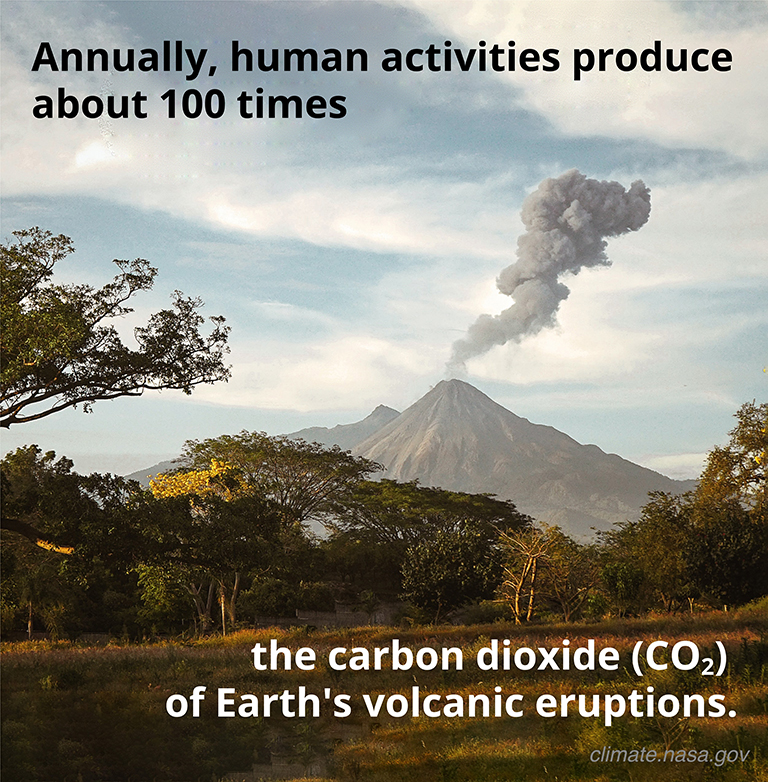Image of trees in the foreground and a volcano in the background, with a smoke plume coming out of it