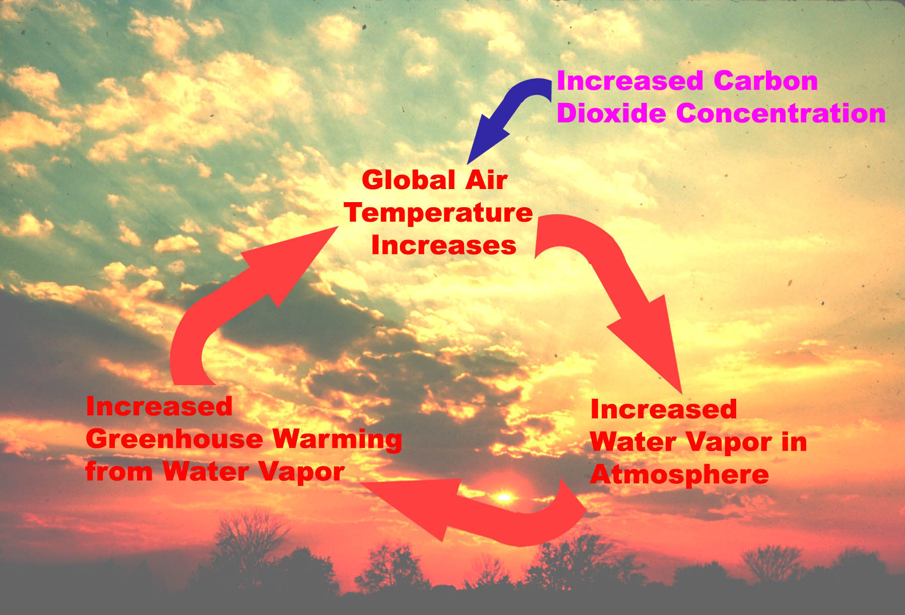 How Is Water Vapour Produced