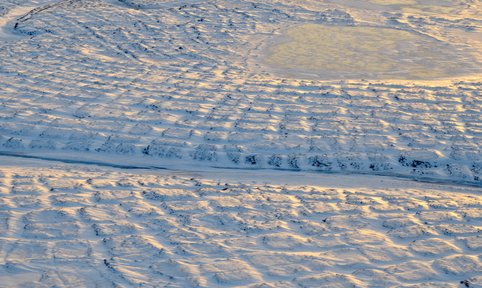 Frozen ground covered in a layer of ice. The land is not even, but rough with patches that are higher or lower. The land's texture looks similar to a quilt or the skin of an alligator. There are bits of yellow in the image from the Sun reflecting off the white-colored land. Other parts are gray from shadows.